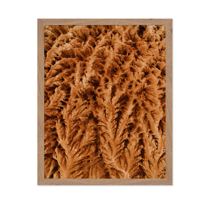 Earthly Textures