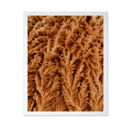 Earthly Textures