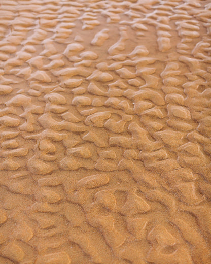 Rippled Sandscape