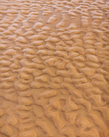 Rippled Sandscape