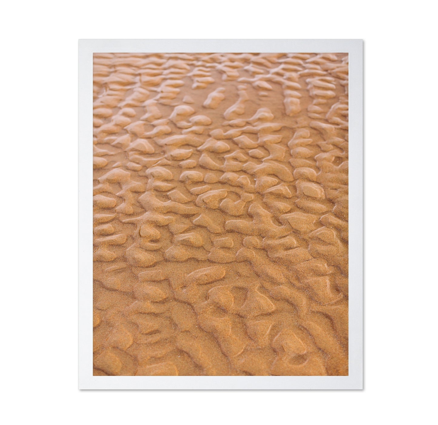 Rippled Sandscape