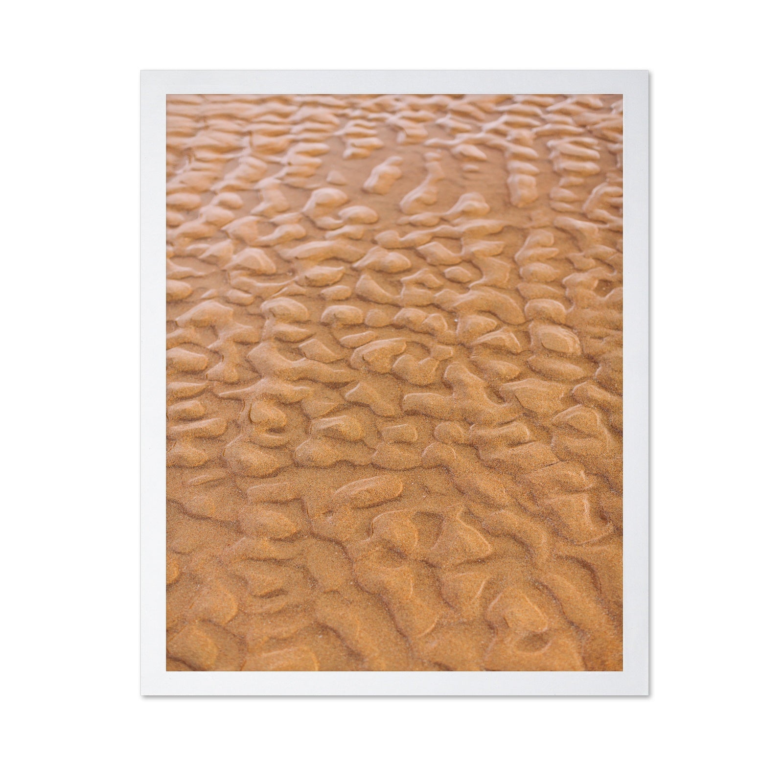 Rippled Sandscape