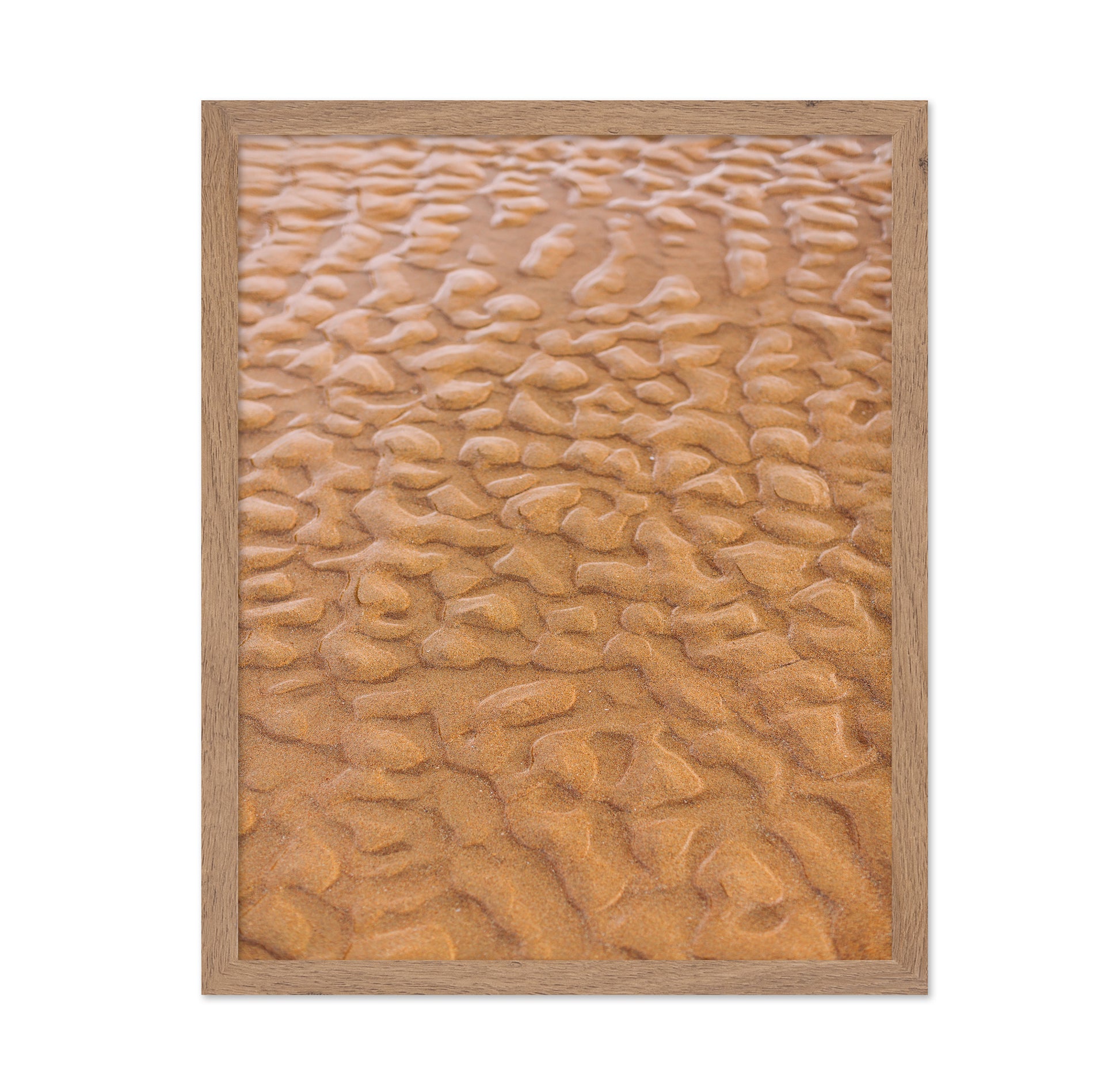 Rippled Sandscape