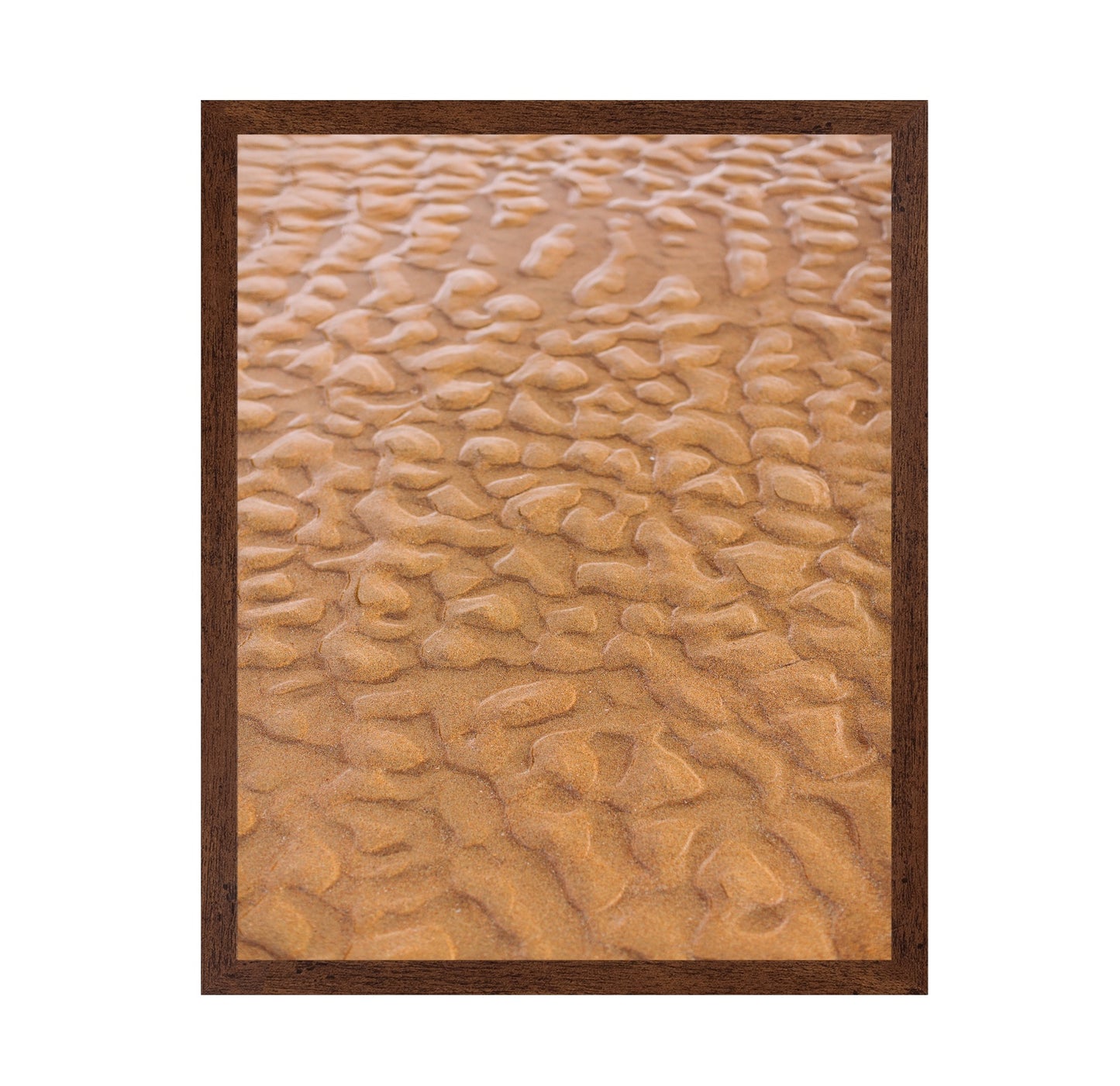 Rippled Sandscape