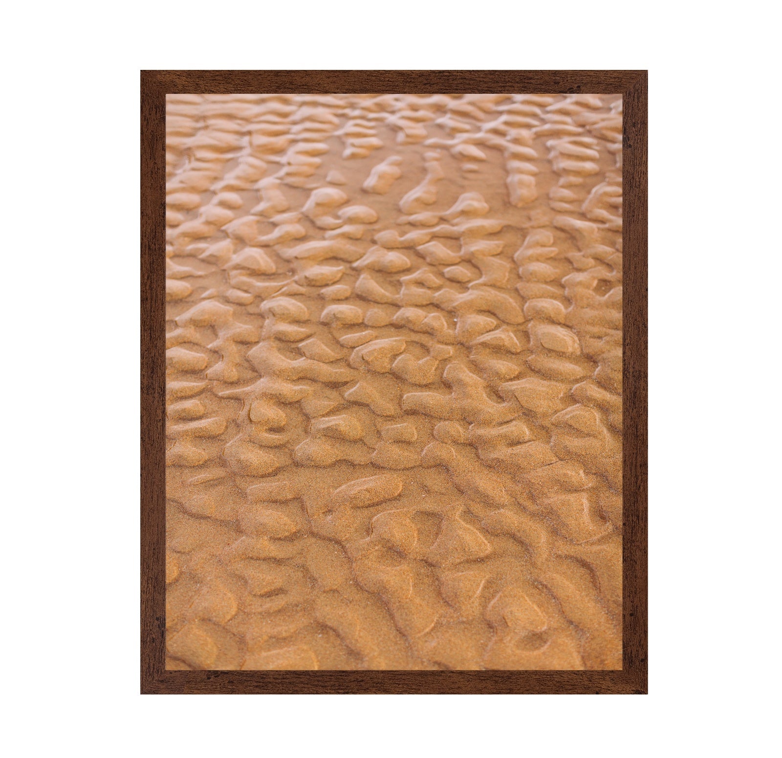 Rippled Sandscape