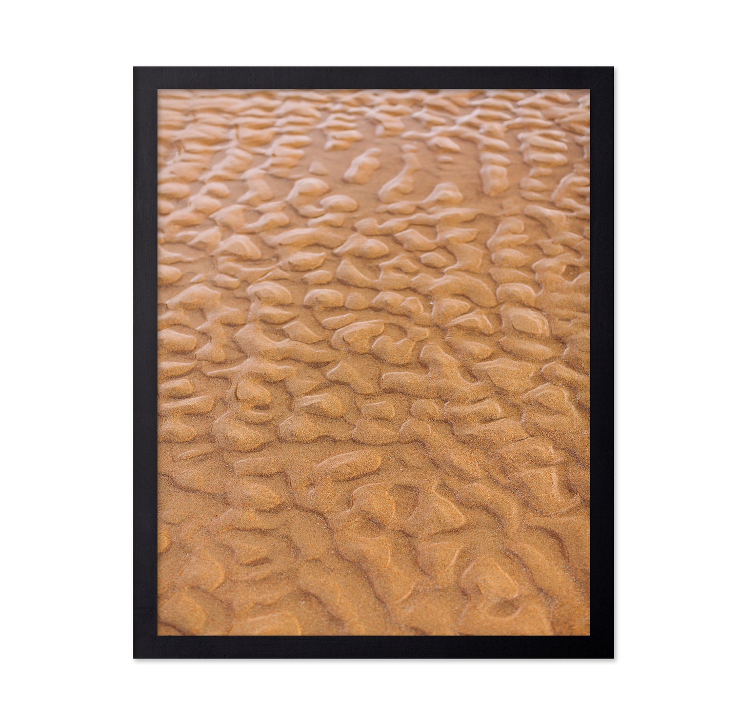 Rippled Sandscape