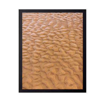 Rippled Sandscape