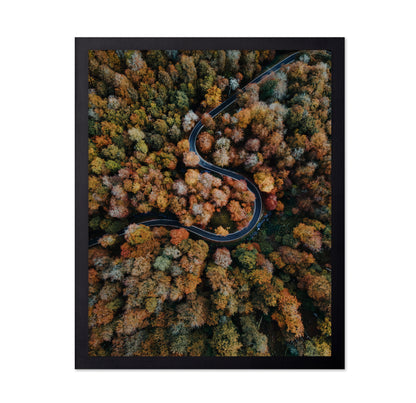 Curved Forest Path