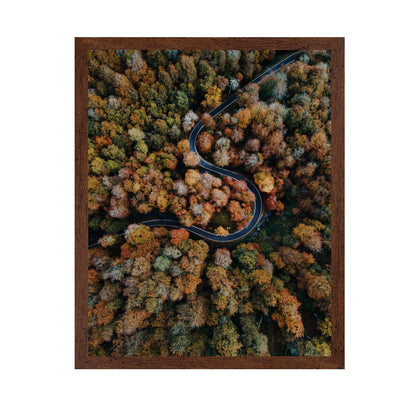 Curved Forest Path
