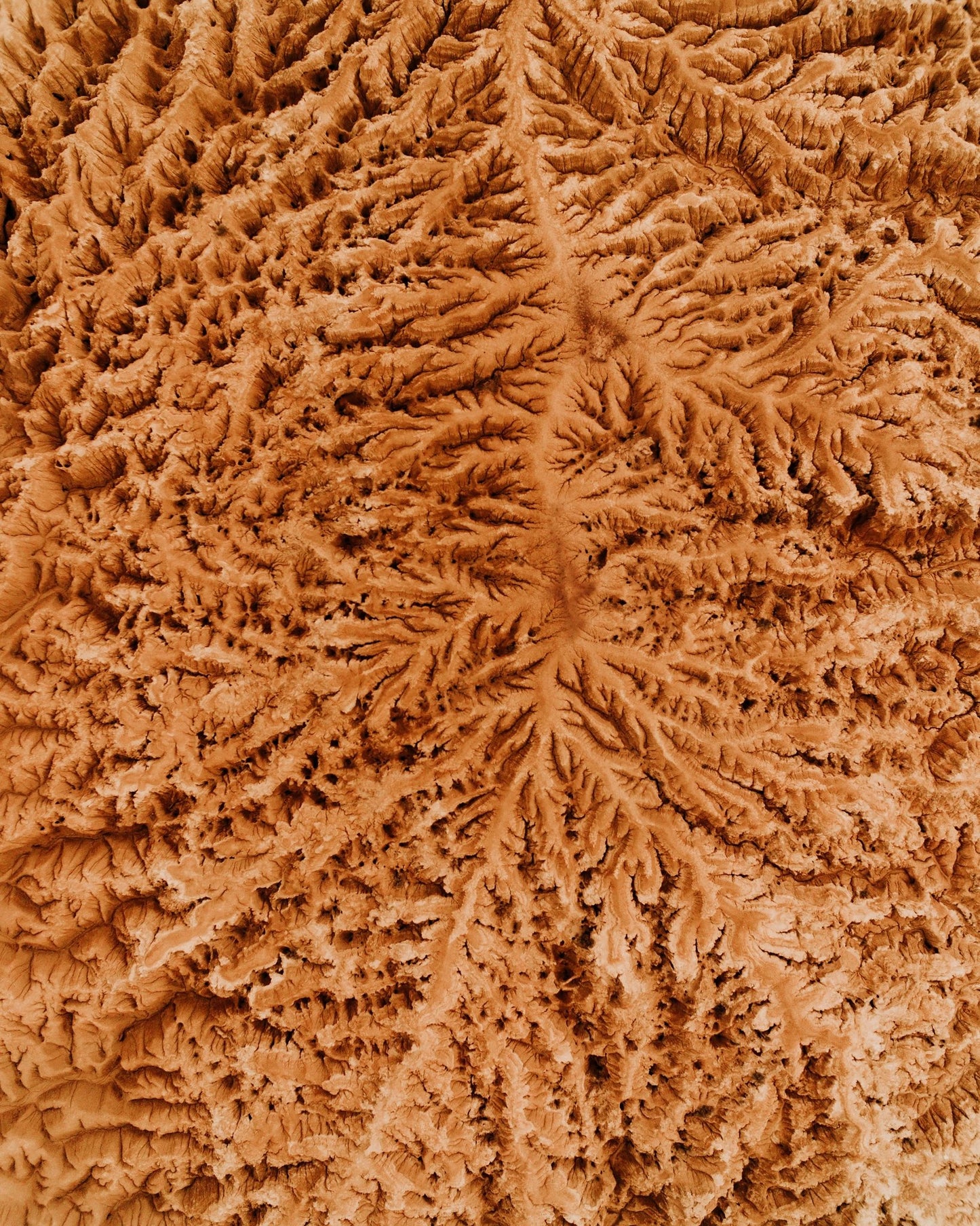 Rugged Earth Veins