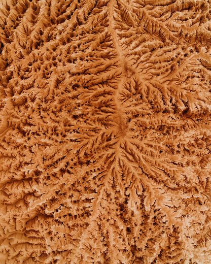 Rugged Earth Veins