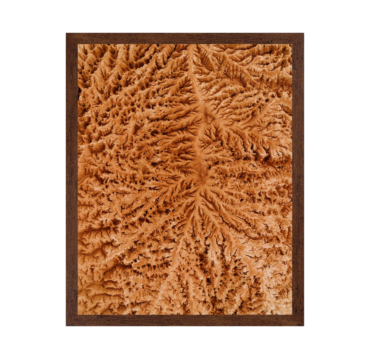 Rugged Earth Veins