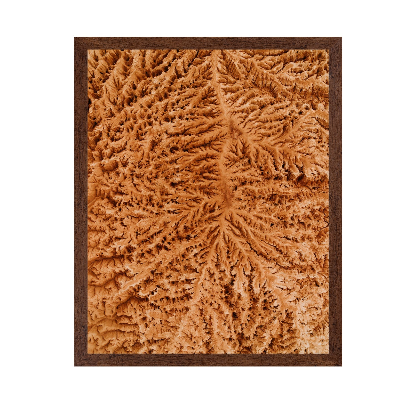 Rugged Earth Veins