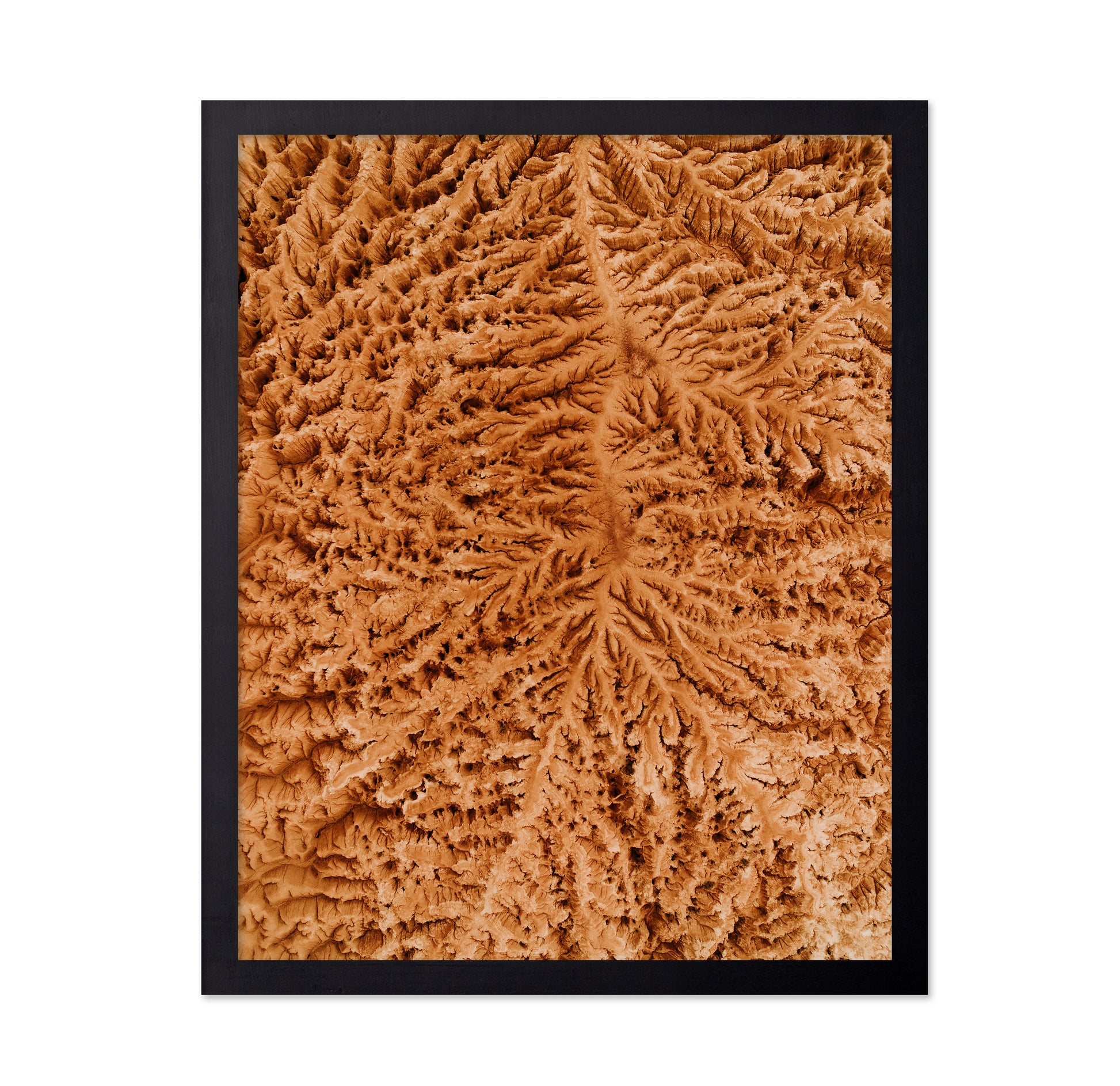 Rugged Earth Veins