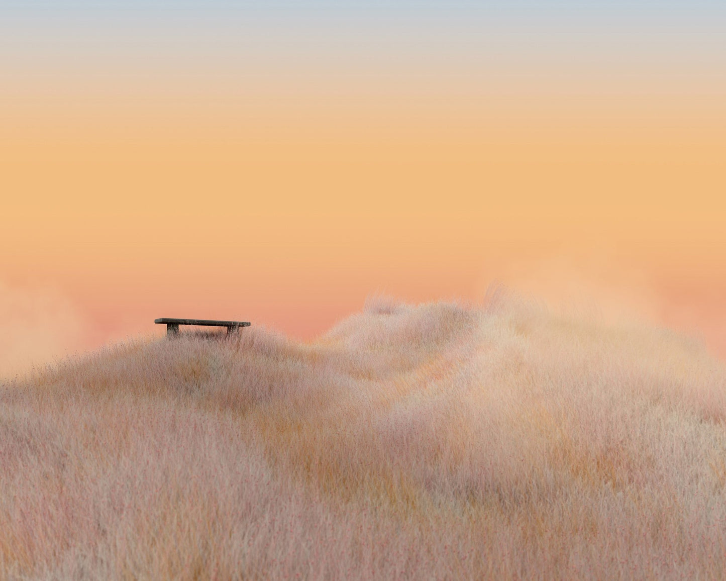 Surreal Landscapes