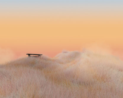 Surreal Landscapes