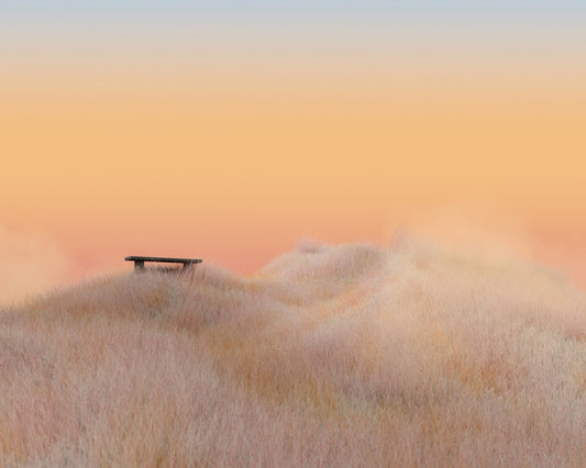 Surreal Landscapes