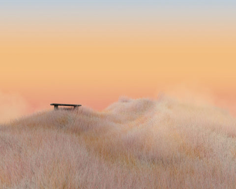 Surreal Landscapes