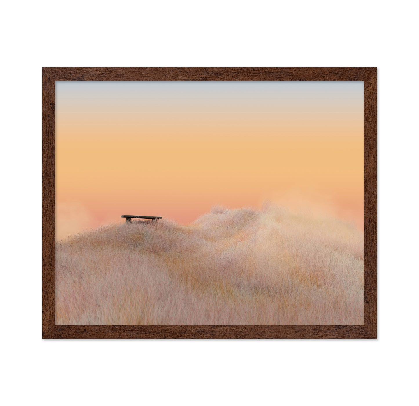Surreal Landscapes