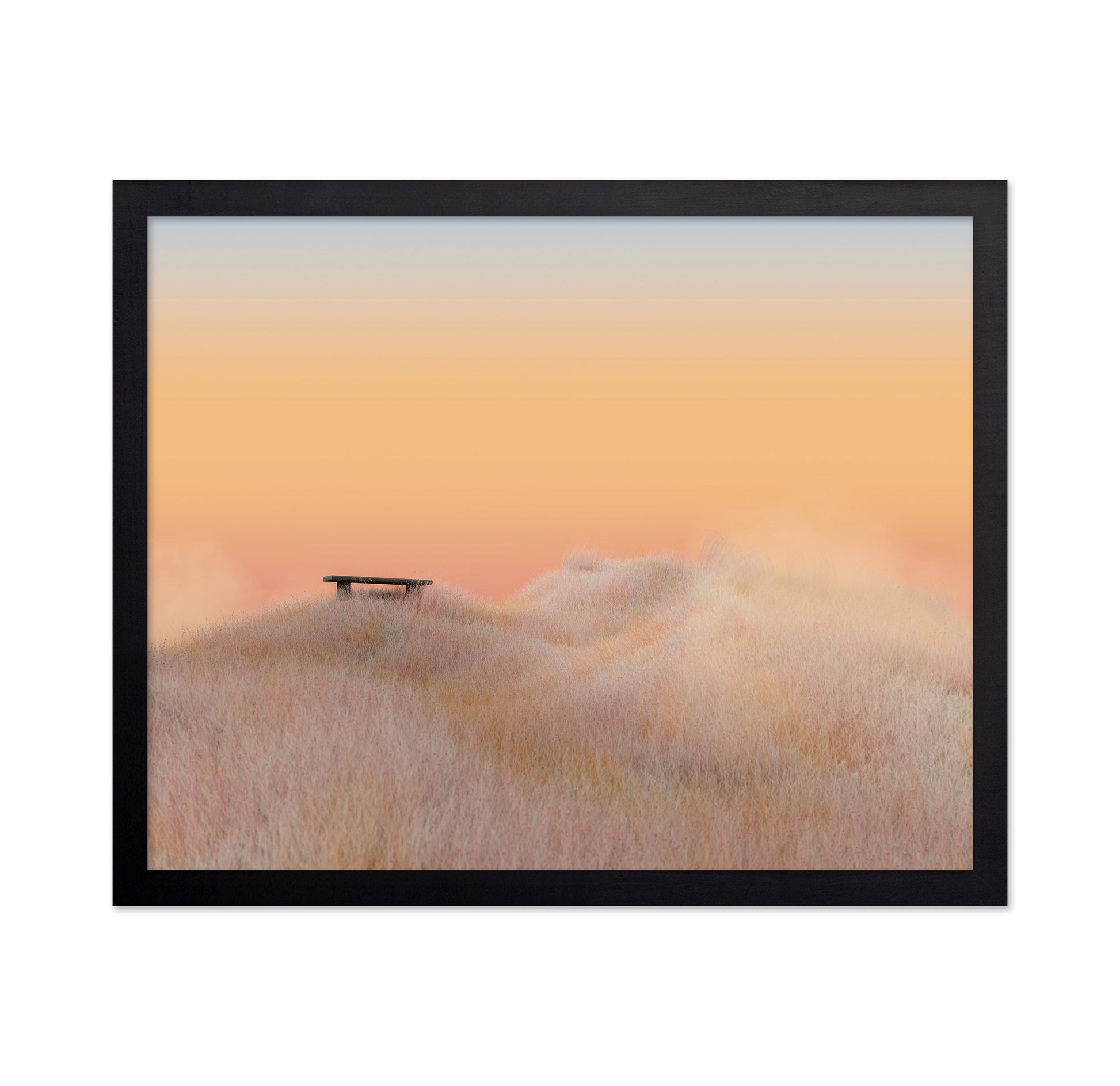 Surreal Landscapes
