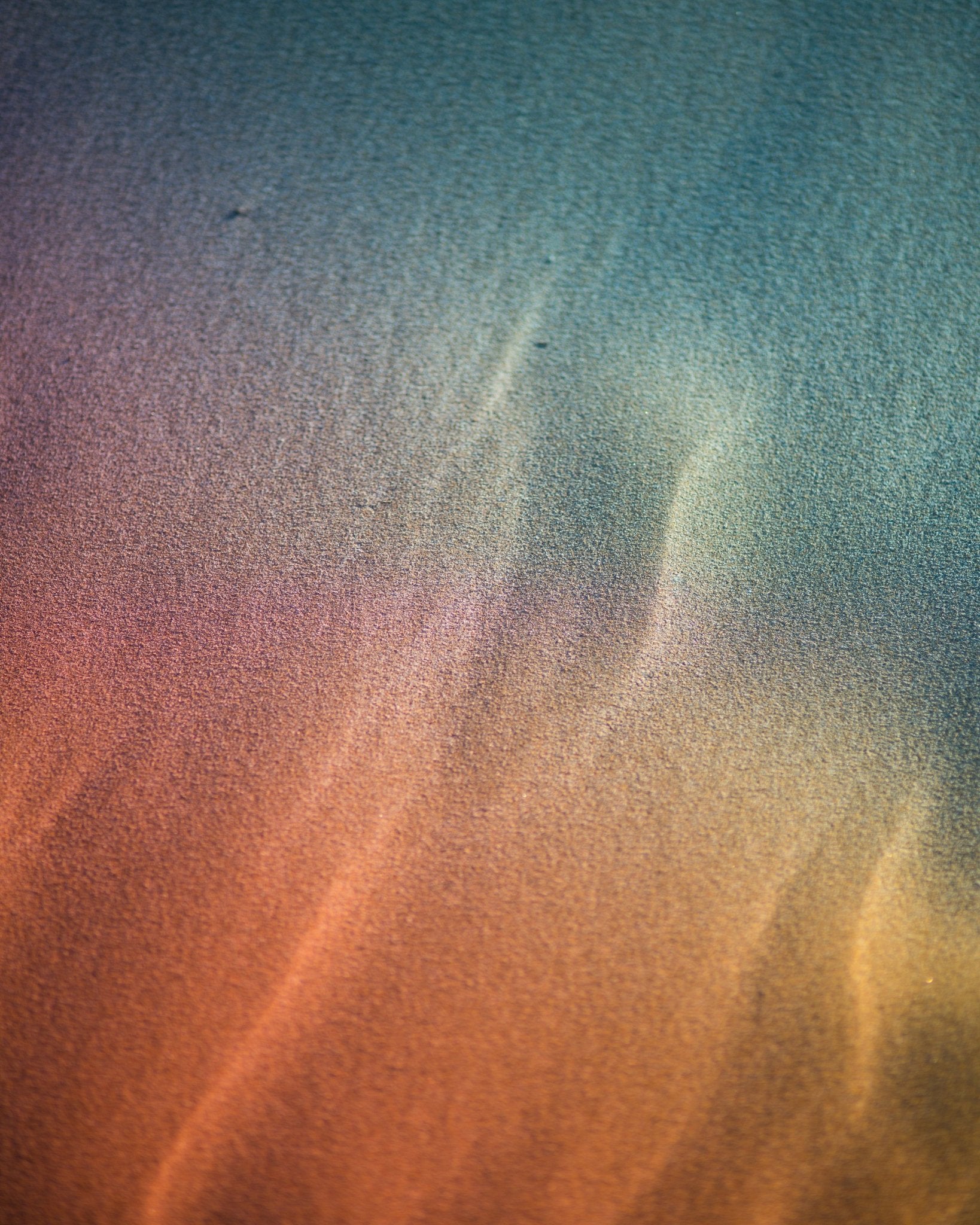 Seabed