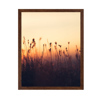 Sunset over Meadow