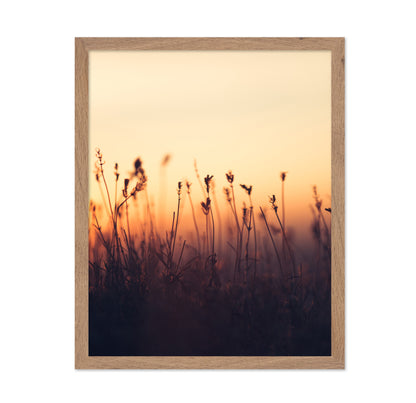 Sunset over Meadow