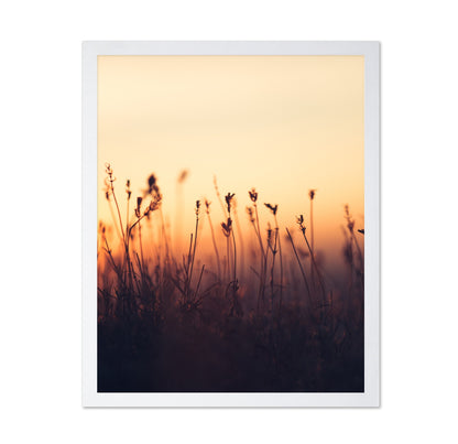 Sunset over Meadow