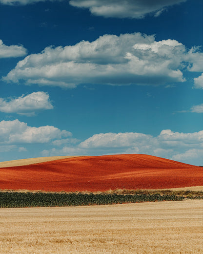 Red Mountain and Crops