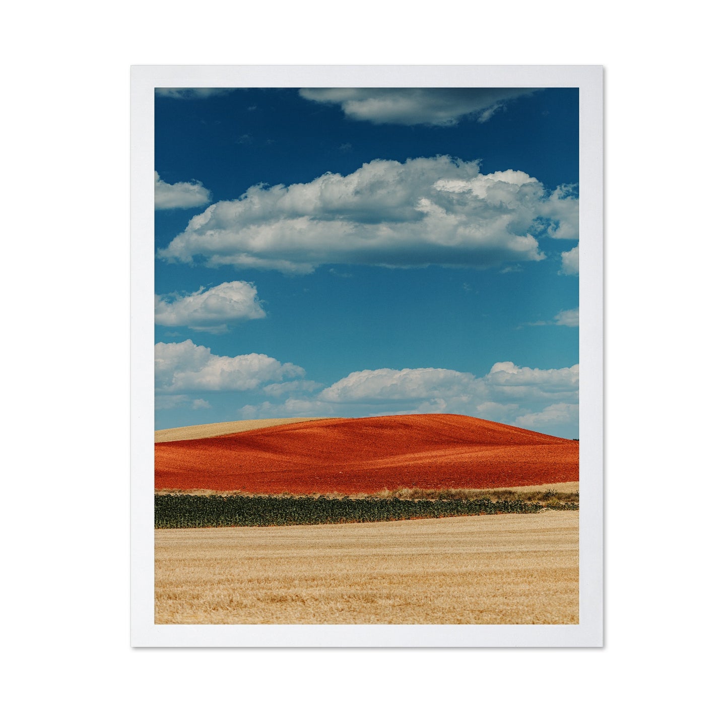 Red Mountain and Crops