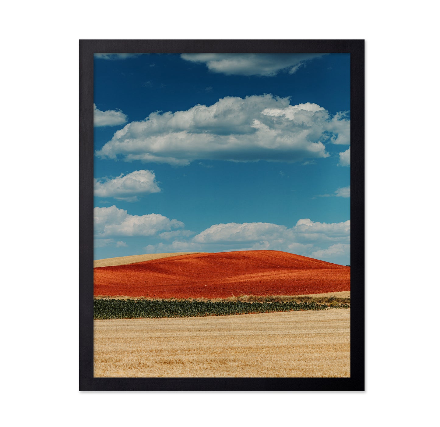Red Mountain and Crops