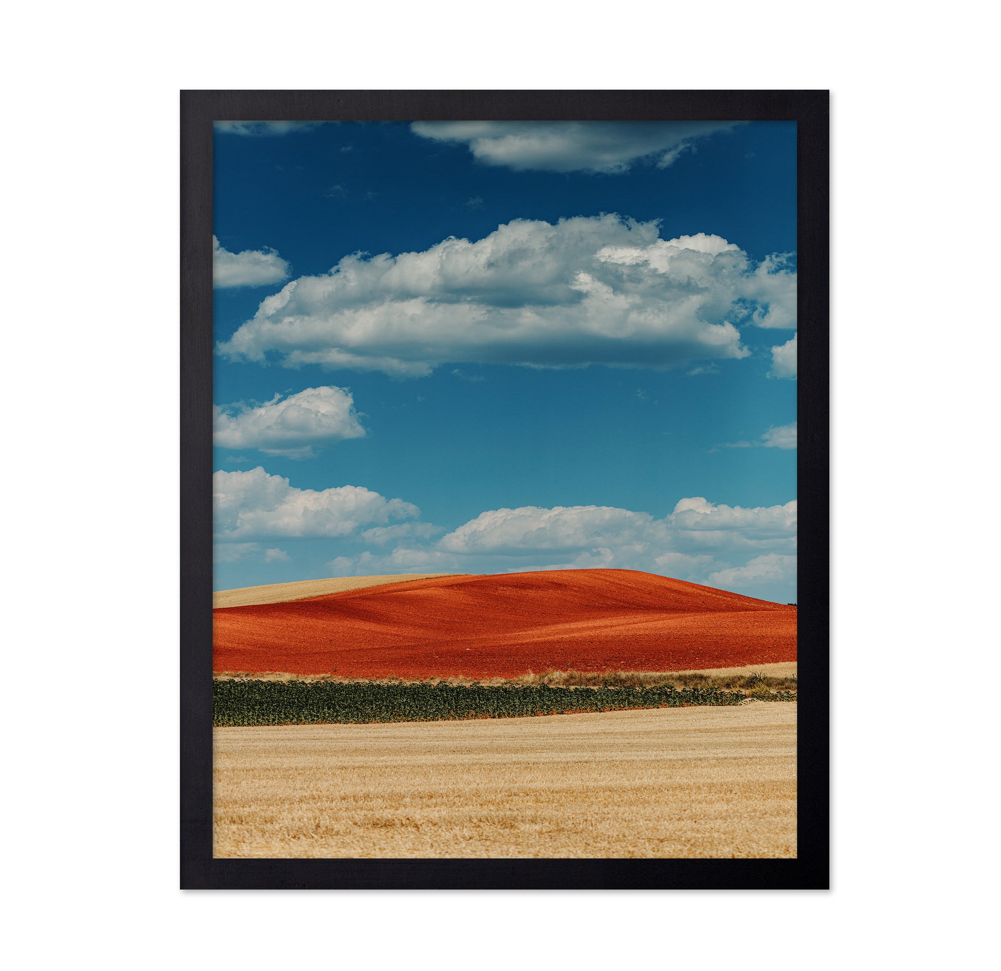 Red Mountain and Crops