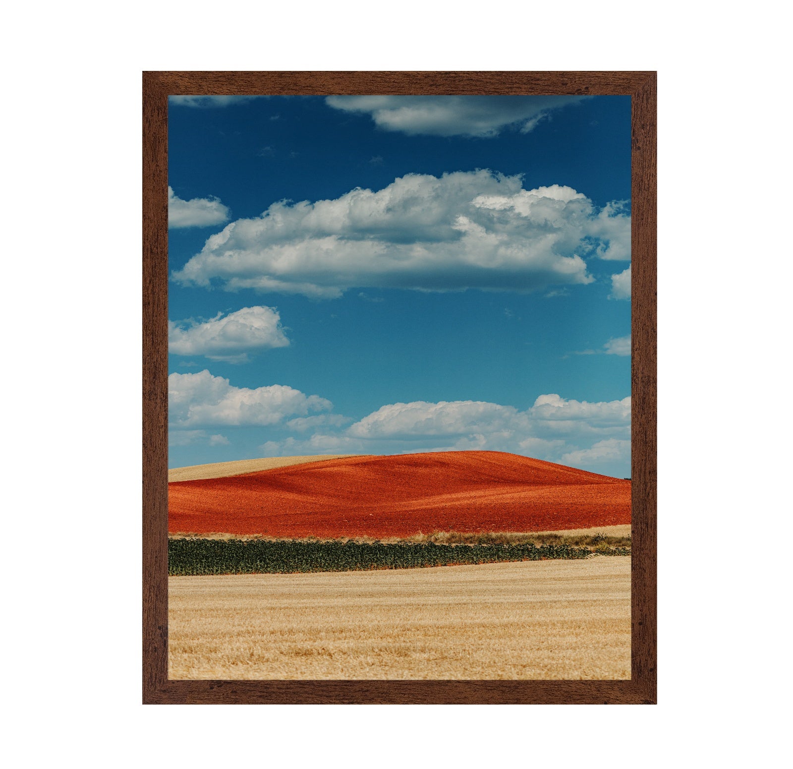 Red Mountain and Crops