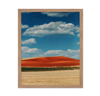 Red Mountain and Crops