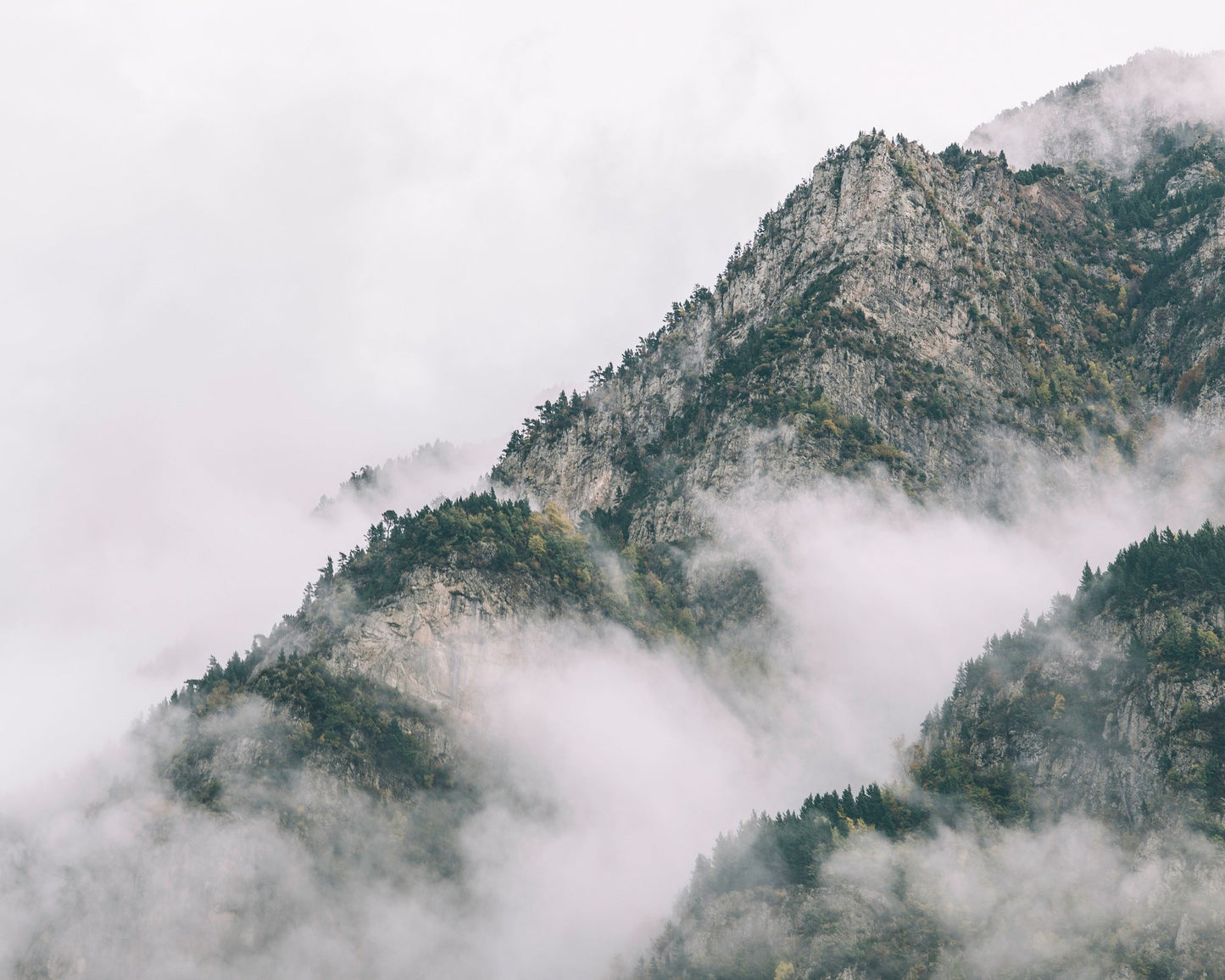 Mystic Mountain Veil