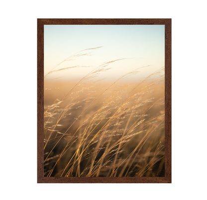 Golden Prairie Grass