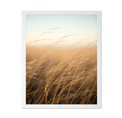Golden Prairie Grass