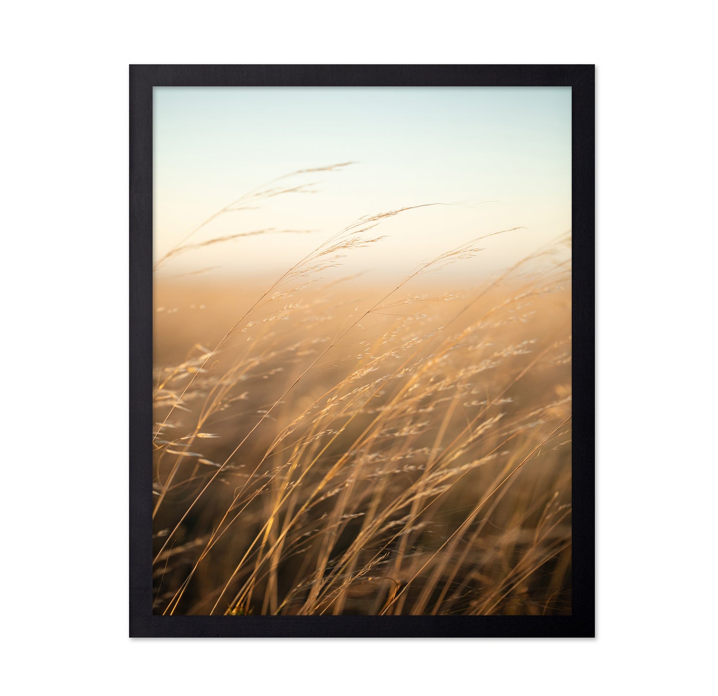 Golden Prairie Grass