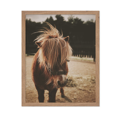 Pony with a Shaggy Mane