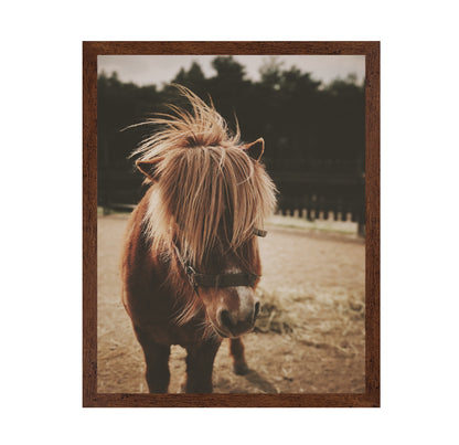 Pony with a Shaggy Mane