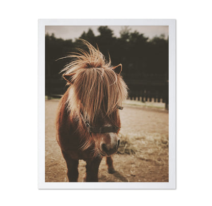Pony with a Shaggy Mane