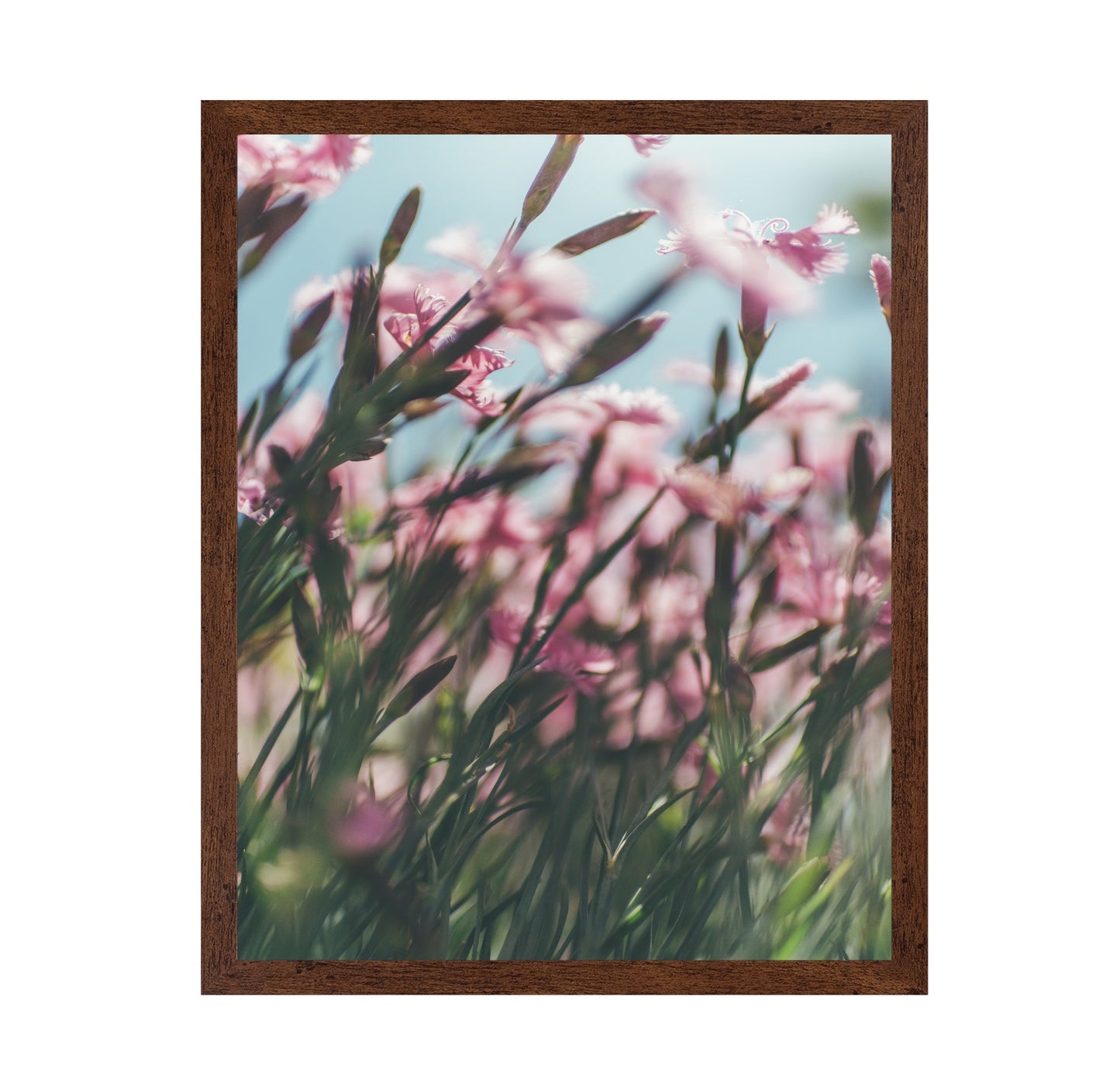 Dreamy Scene of Pink Flowers