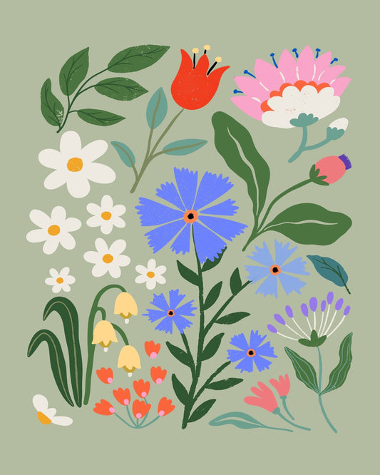 Cornflower Meadow