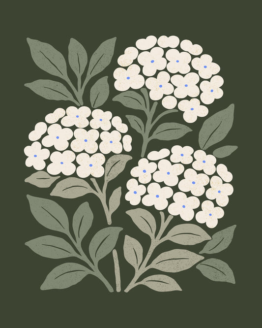 Abstract Green Hydrangea
