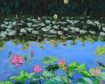 Pink Lotus Lilies in a Pond