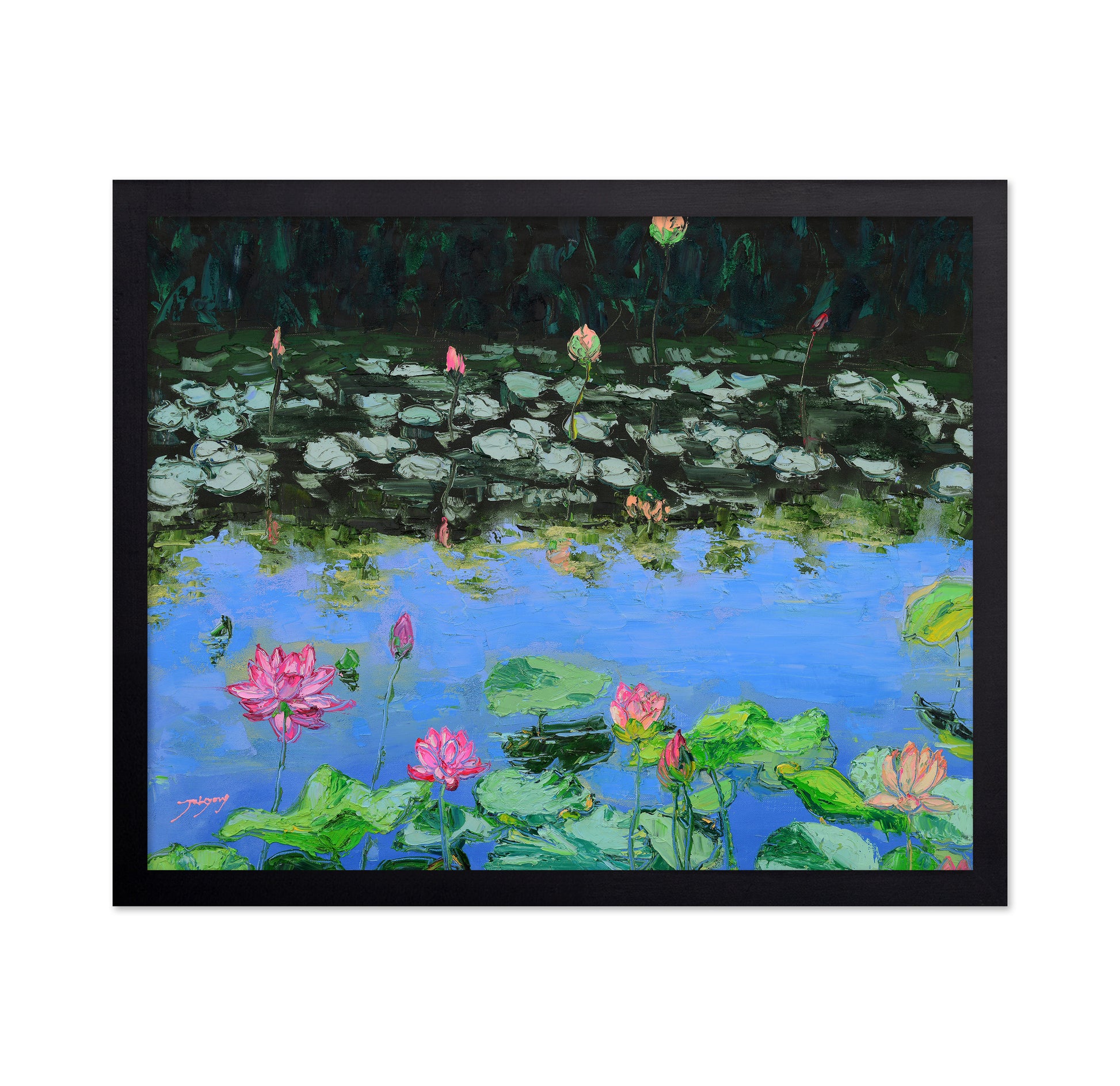 Pink Lotus Lilies in a Pond