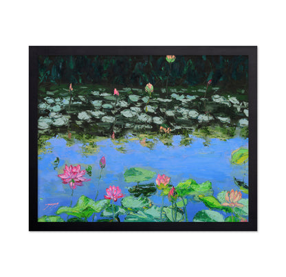 Pink Lotus Lilies in a Pond