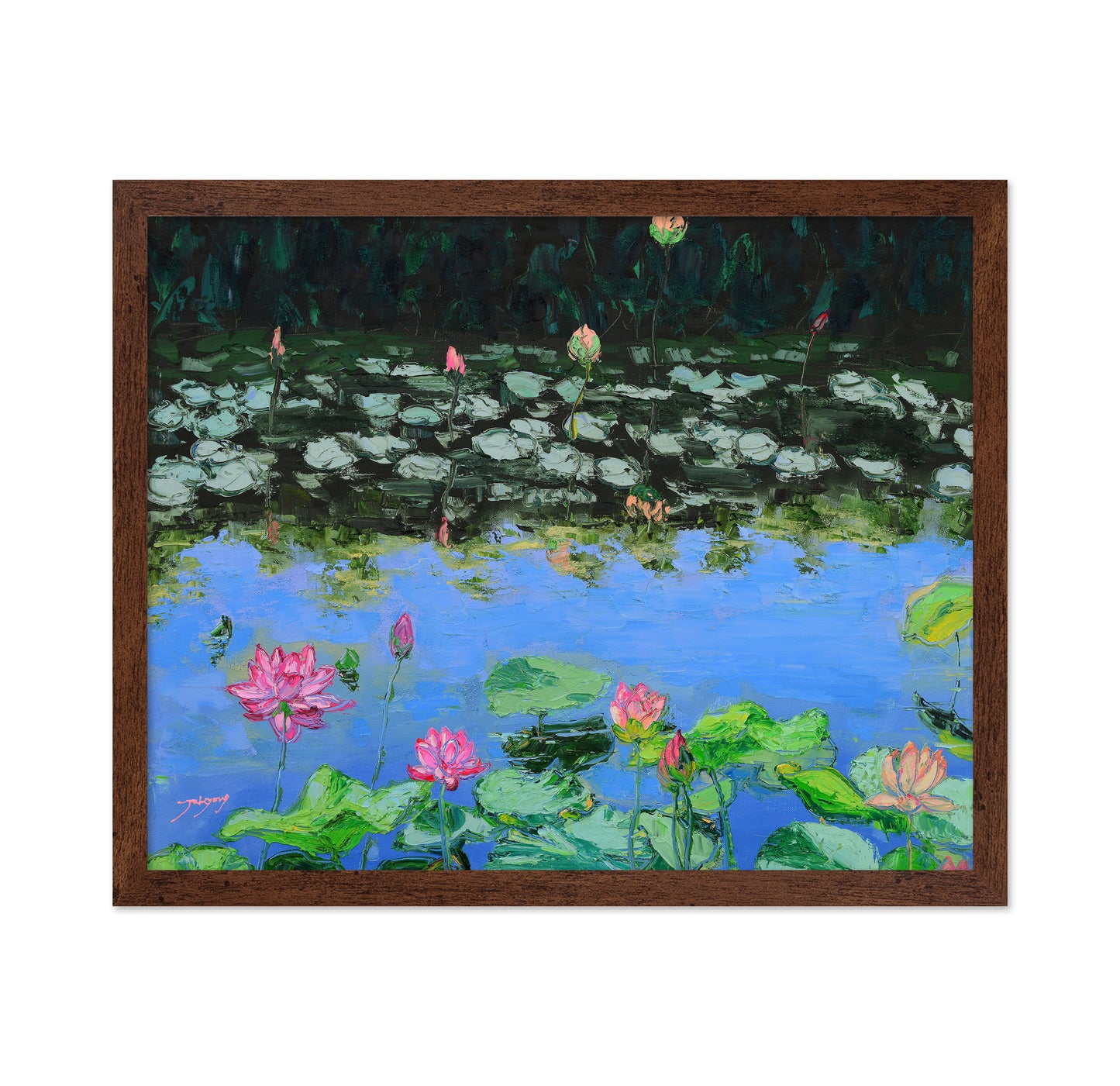 Pink Lotus Lilies in a Pond