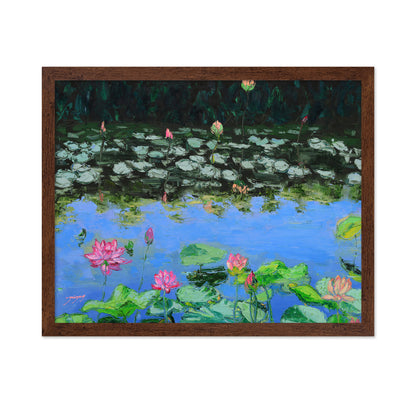 Pink Lotus Lilies in a Pond