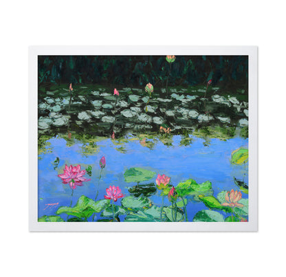 Pink Lotus Lilies in a Pond